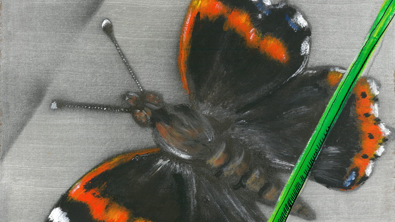 Butterfly & Frog, a hand-painted archetype of the number 11