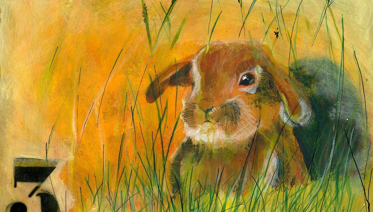 The Rabbit