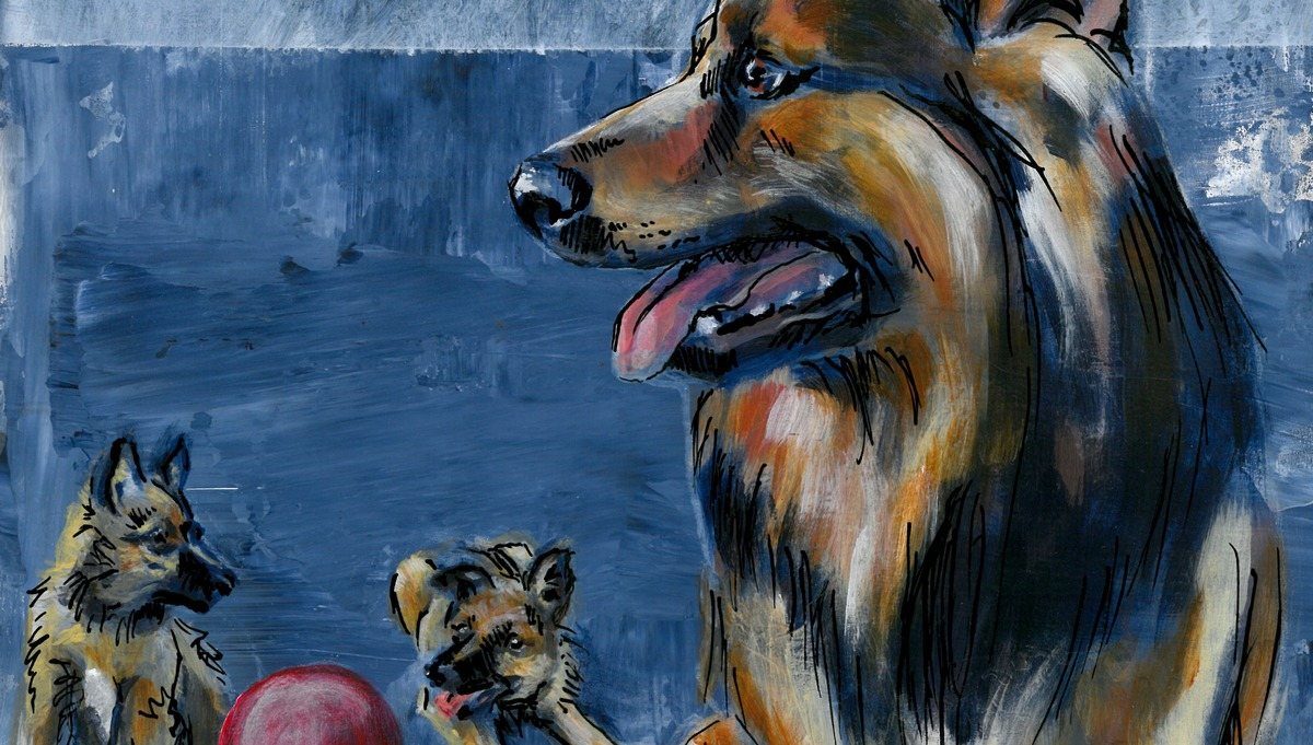 The Dog