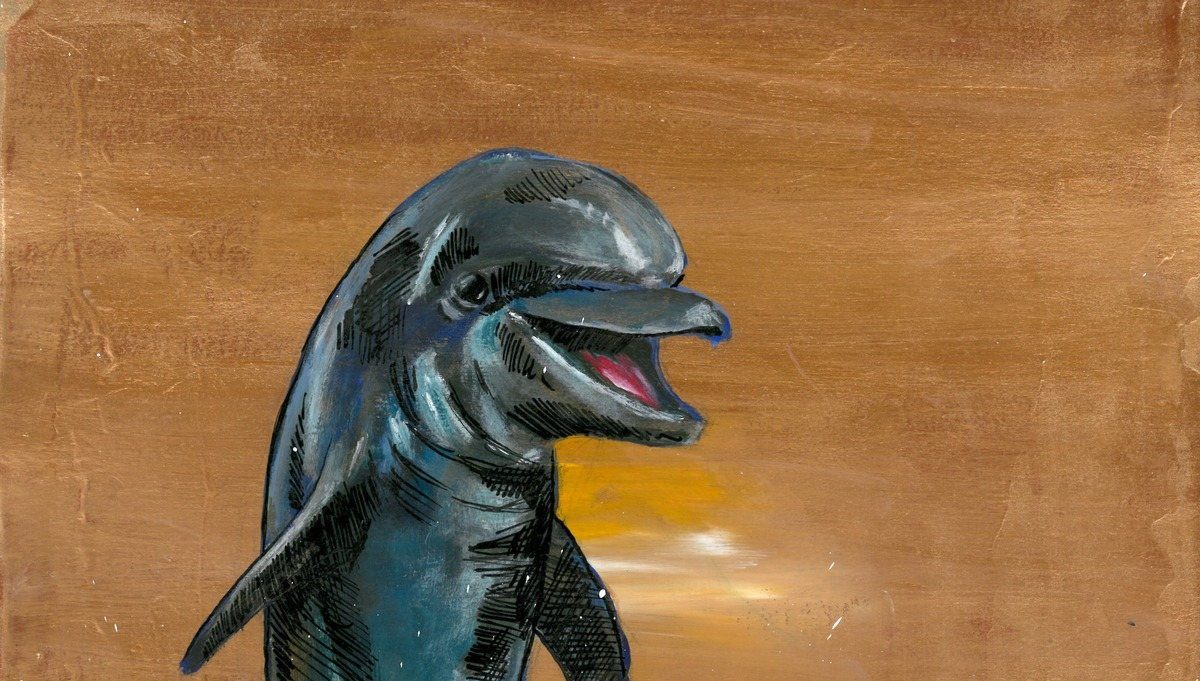 The Dolphin