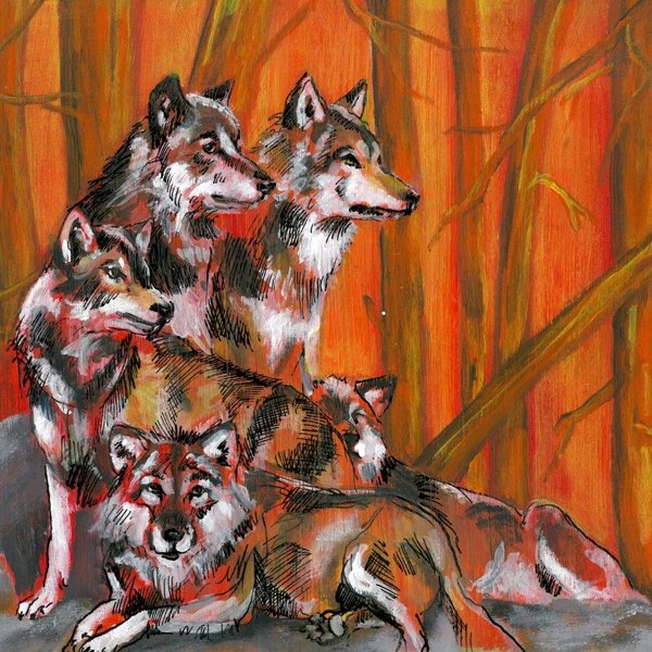 The Wolves