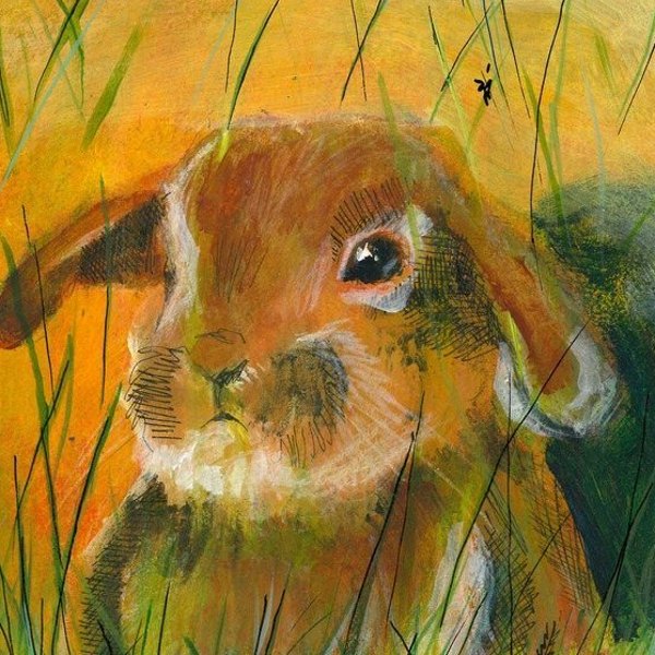 The Rabbit