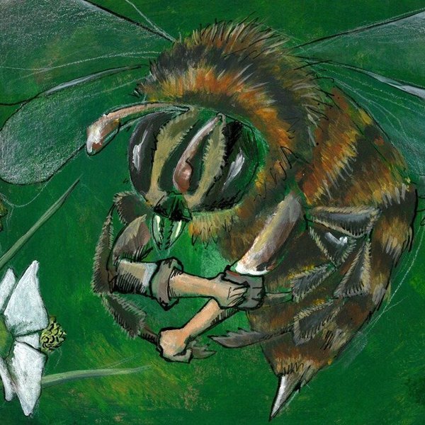 The Bee