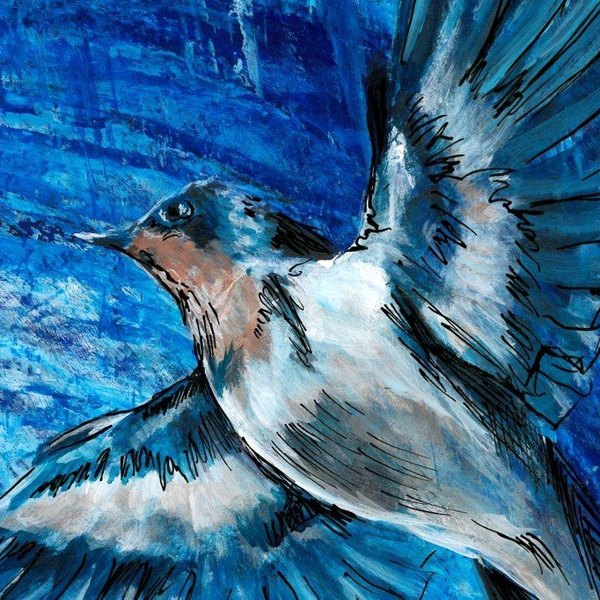 The Swallow
