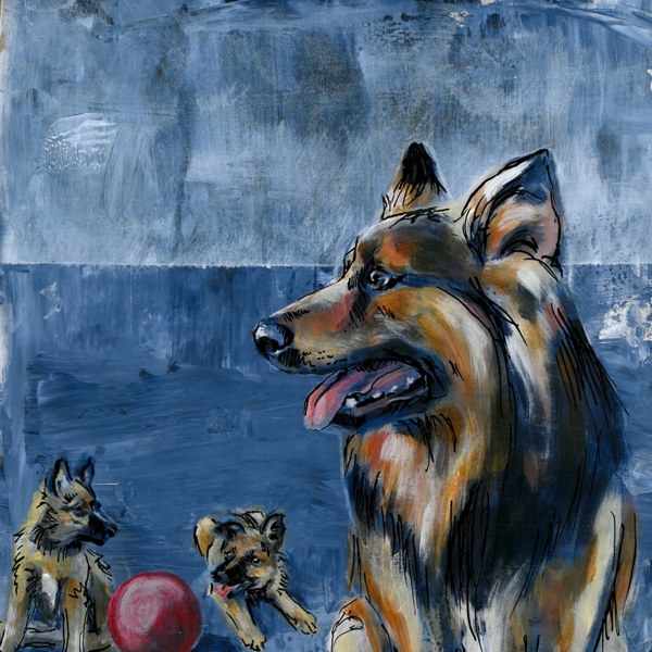 The Dog