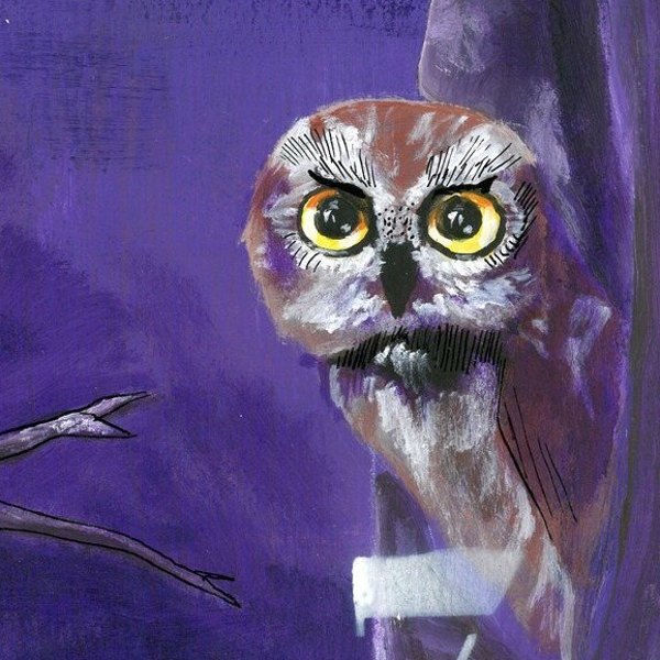 The Owl