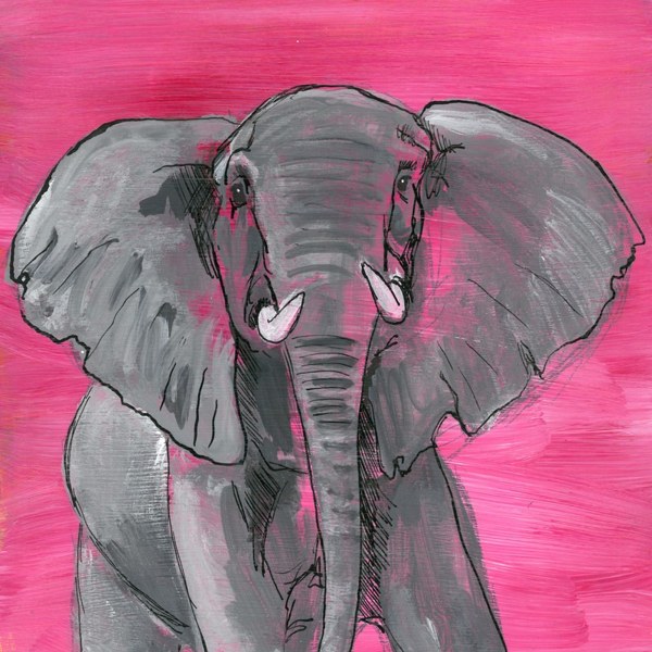 The Elephant