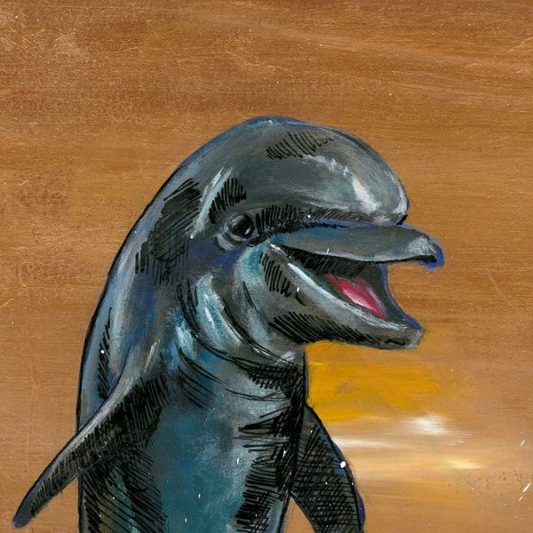 The Dolphin