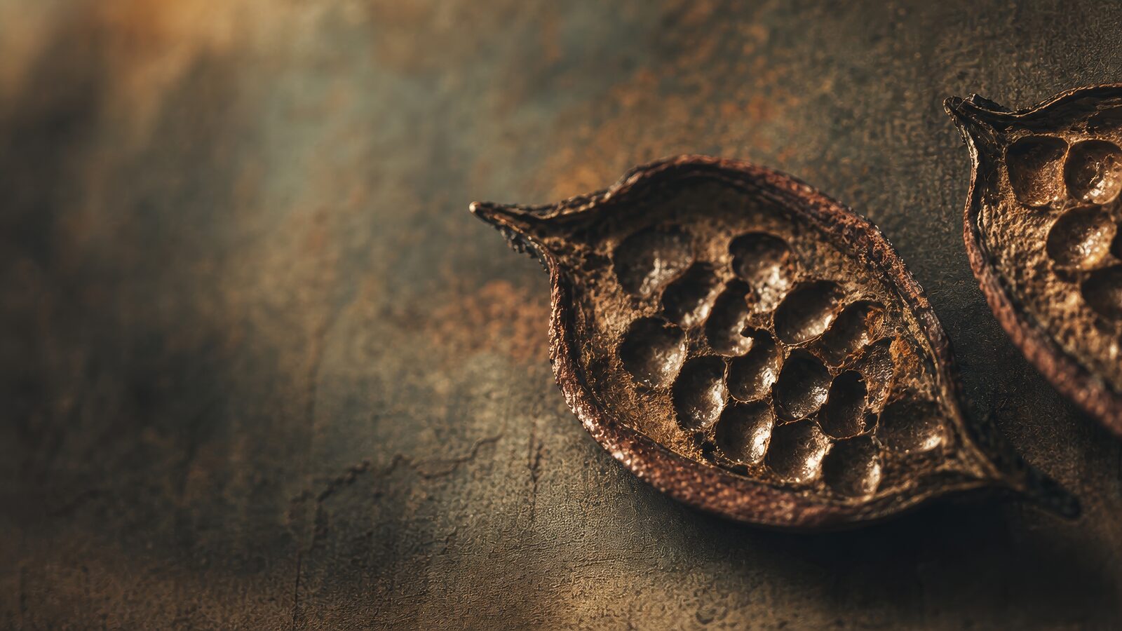 Dried fruit and seeds on a dark, textured surface