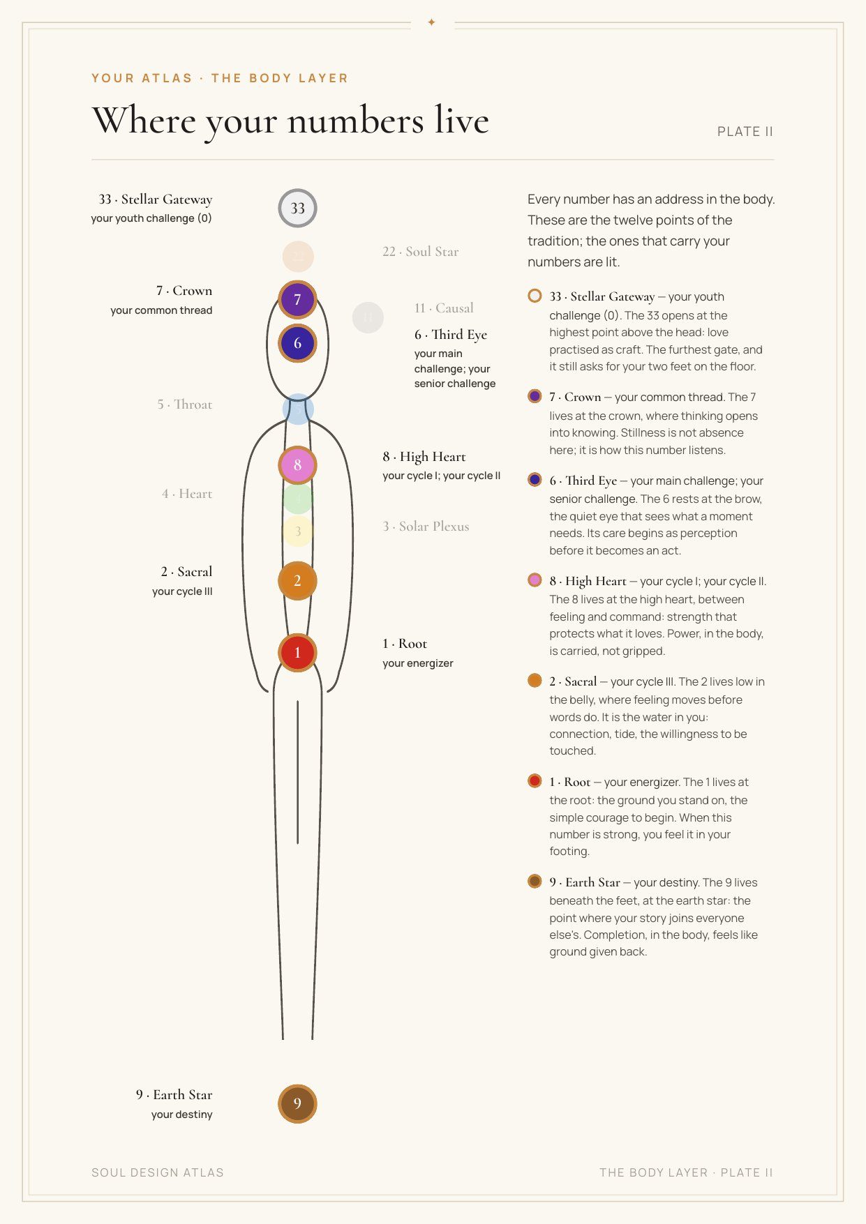 The body layer